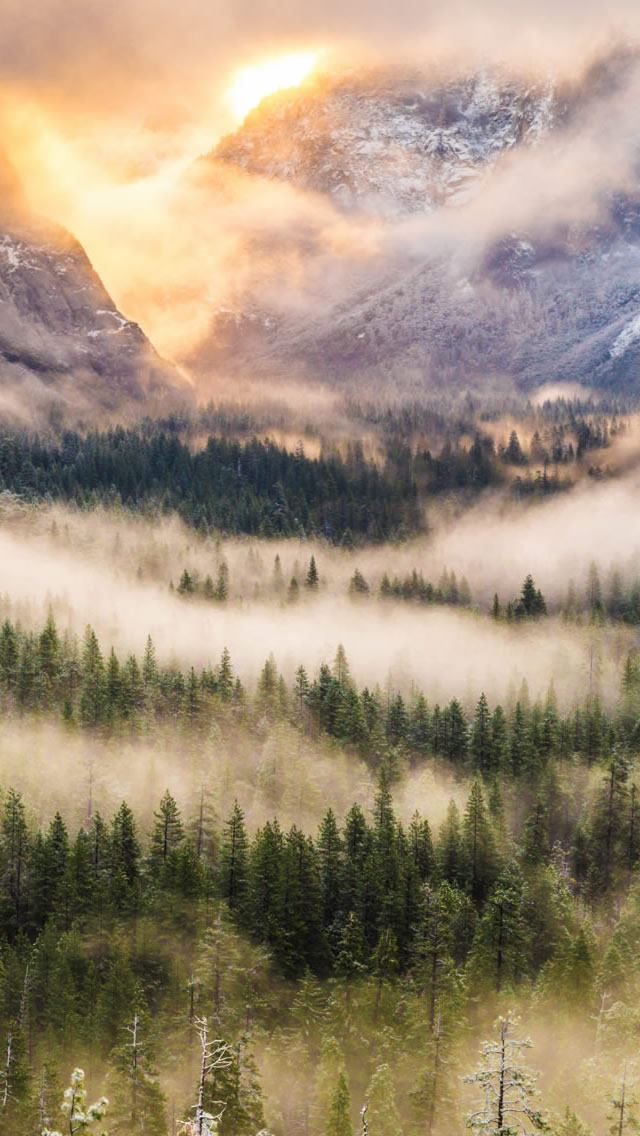 640x1136 Mist Forest Mountain - fog iPhone Wallpaper