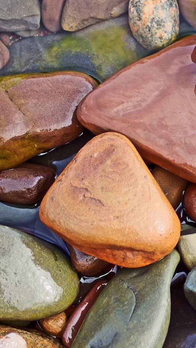 640x1136 Wet Rocks -  iPhone Wallpaper