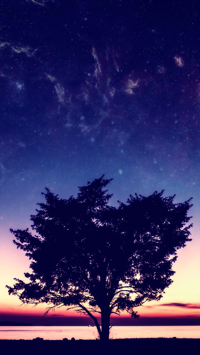 640x1136 Sunset  -  iPhone Wallpaper