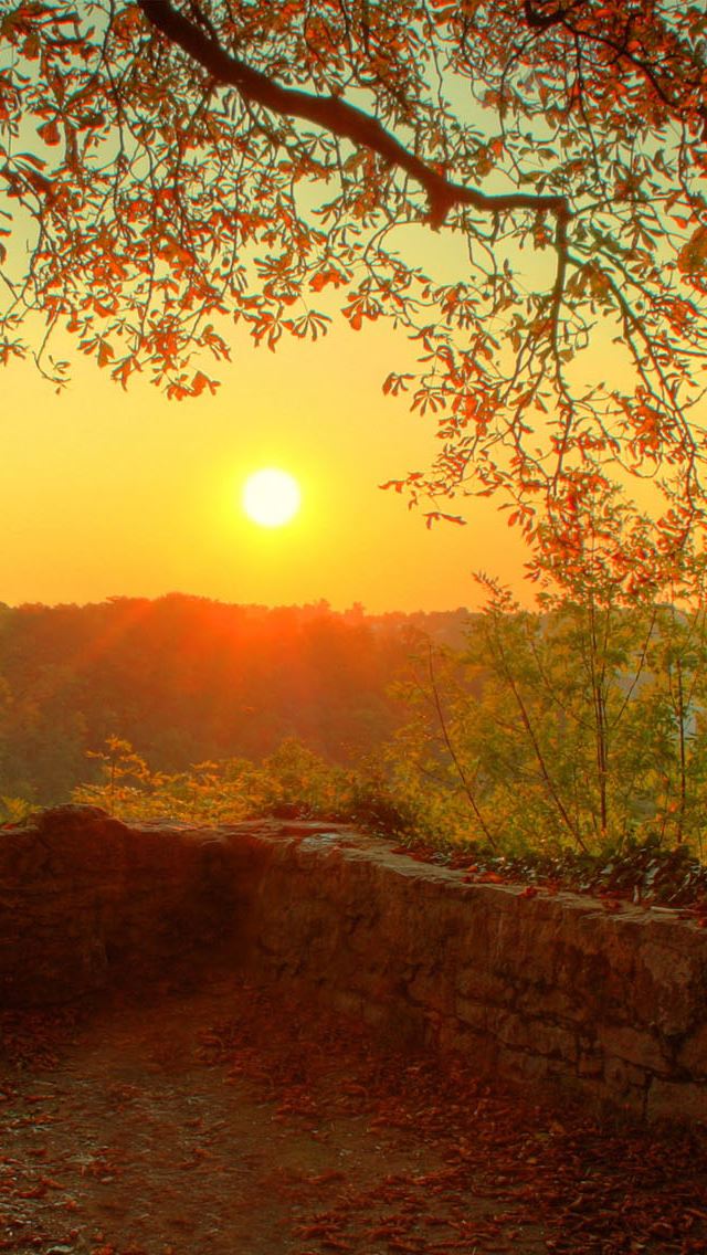 Nature Autumn Sunrise Iphone Wallpapers Free Download