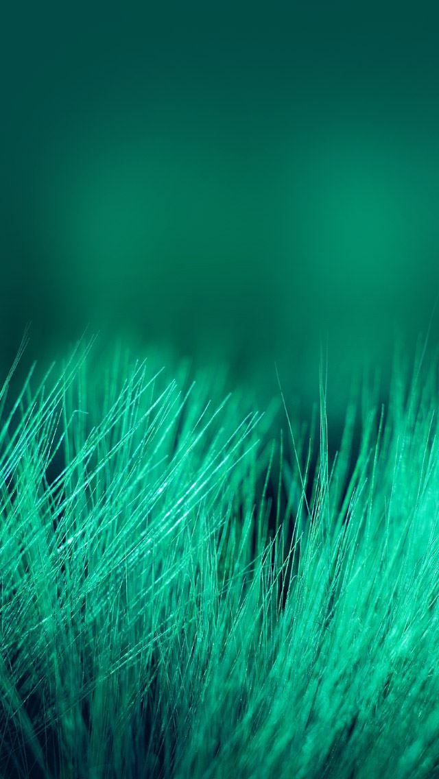 640x1136 Beautiful Leaf -  iPhone Wallpaper