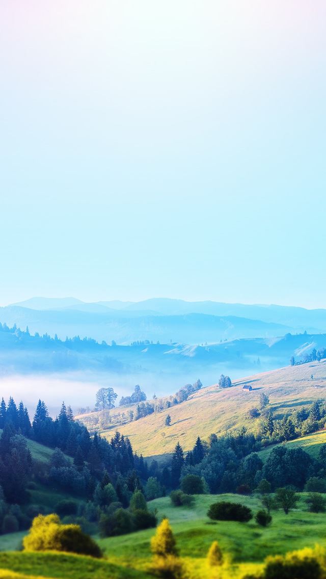 640x1136 Mountains View - trees iPhone Wallpaper