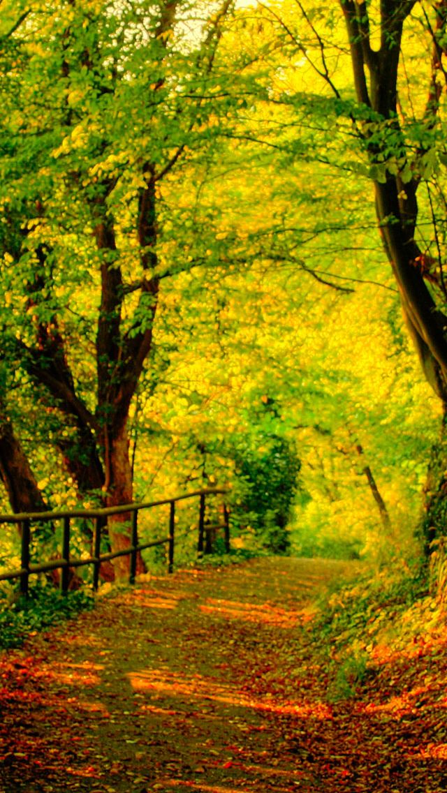 640x1138 Natural landscape - natural iPhone Wallpaper