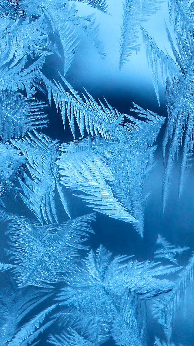 640x1136 Frost  -  iPhone Wallpaper