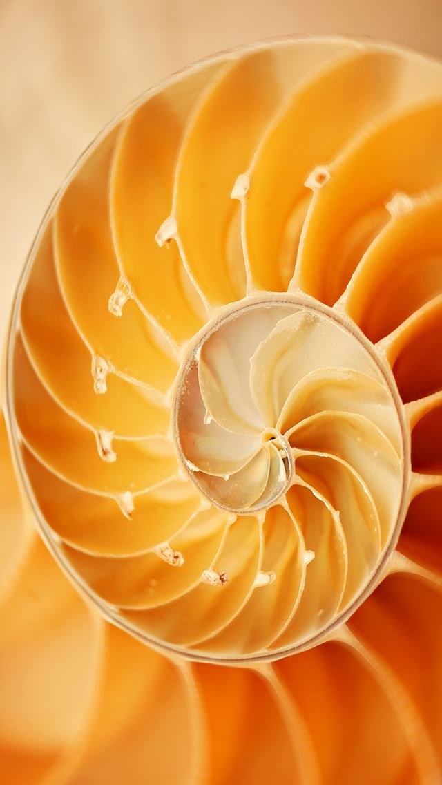 640x1136 Abstract Swirl - abstract iPhone Wallpaper