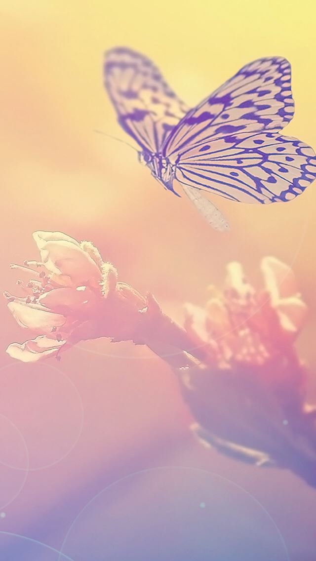 640x1136 Fairy Blur Flower Butterfly - fairy iPhone Wallpaper