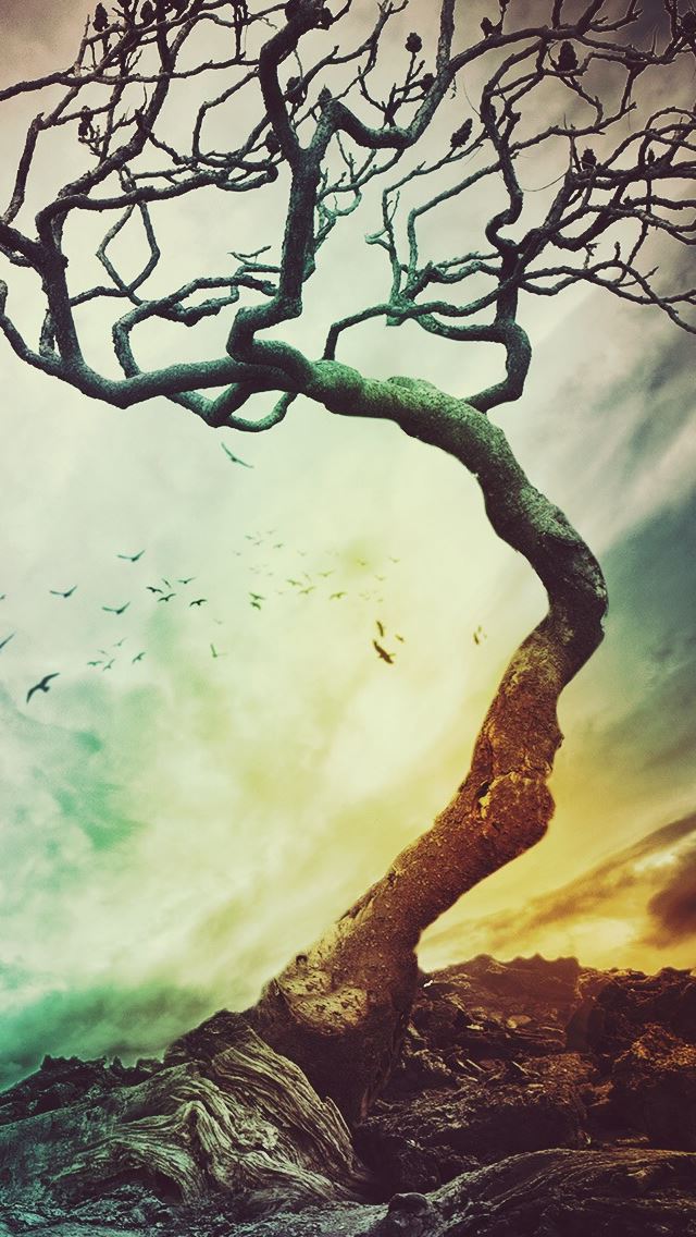 640x1136 Wither Tree In Storm - windy iPhone Wallpaper