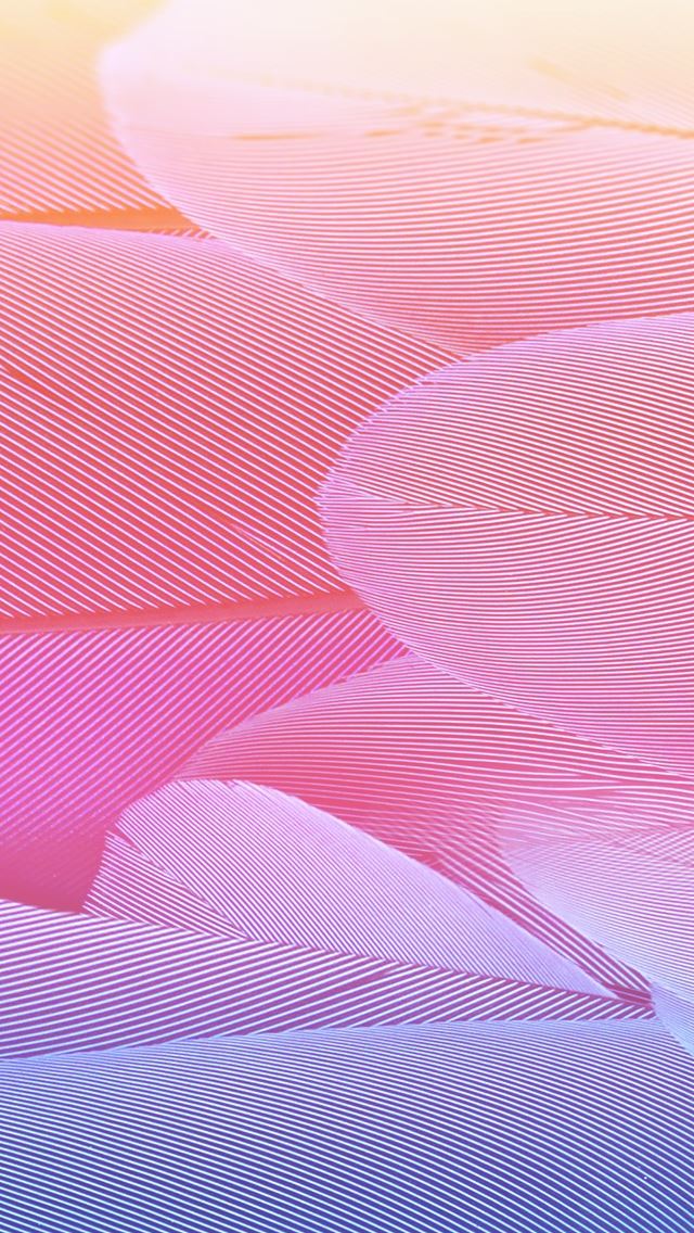 640x1136 Warm Vector Swirl Feather - feather iPhone Wallpaper