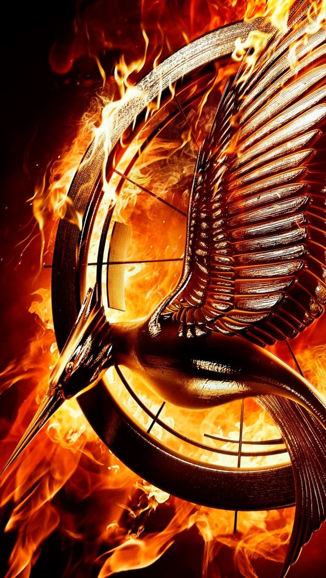 640x1138 Catching Fire  - fire iPhone Wallpaper