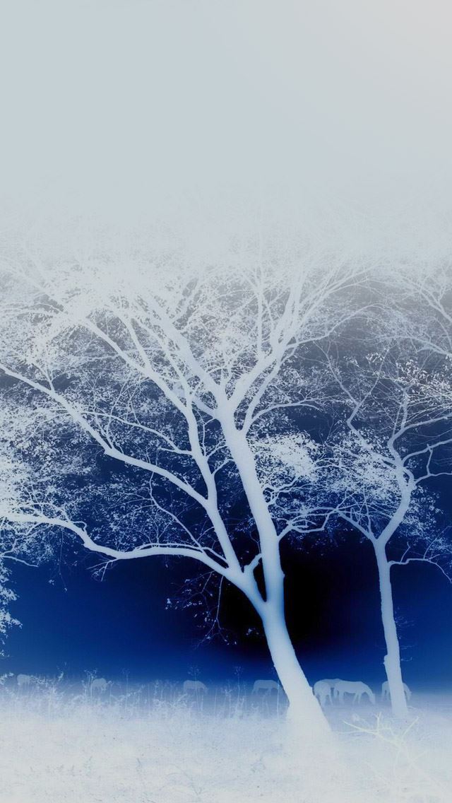 640x1136 Evening Walking With Blue - elephant iPhone Wallpaper