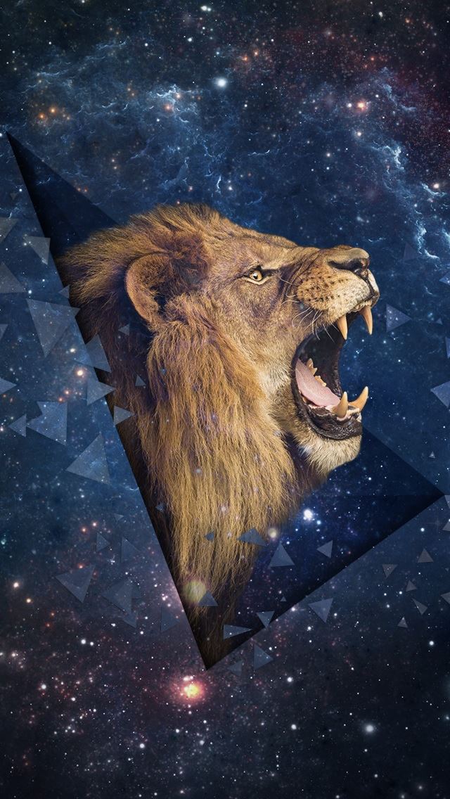 640x1136 Outer Space Shouting Lion - outer space iPhone Wallpaper