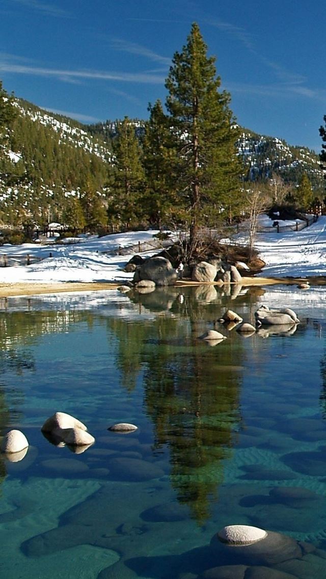 640x1136 Nordic Snow Tree Beside Lake - reflection iPhone Wallpaper