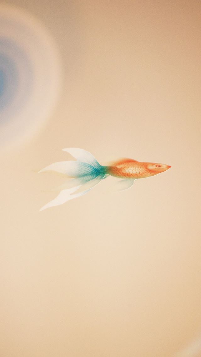 640x1136 The Pure Goldfish - painting iPhone Wallpaper