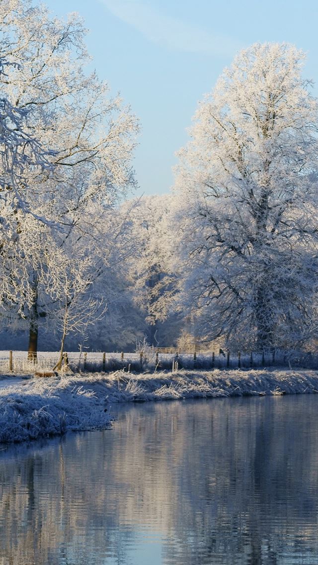 640x1136 Frozen Mist Forest Lake -  iPhone Wallpaper