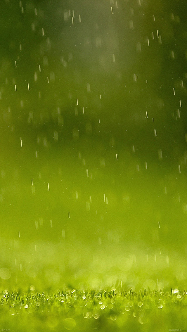 Green Rain Nature iPhone wallpaper 