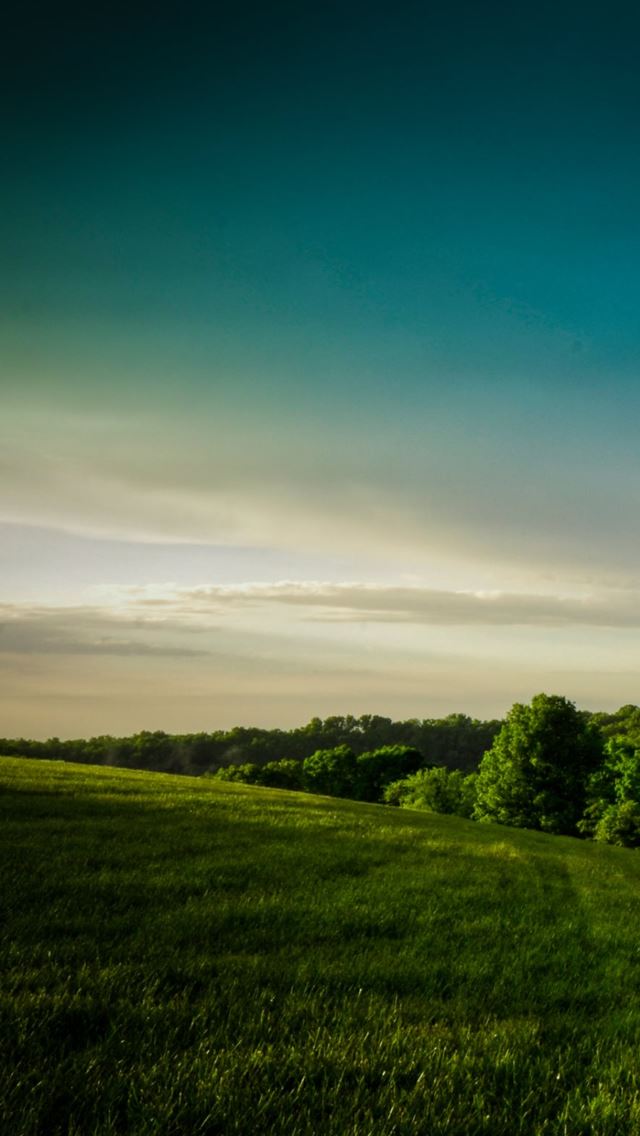640x1136 Hill Country Forest - country iPhone Wallpaper