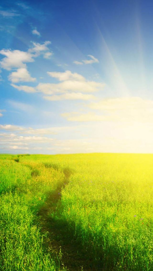 640x1136 Nature Sunshine Grassland Field - sunshine iPhone Wallpaper