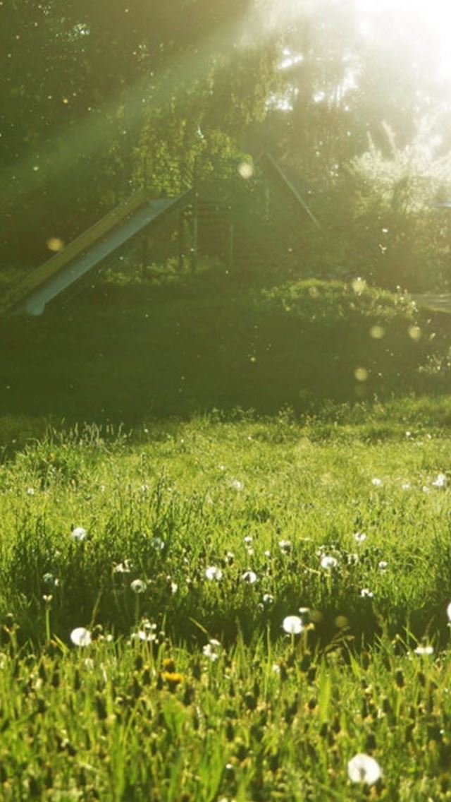 640x1136 Sunny Day Grassland - sunshine iPhone Wallpaper