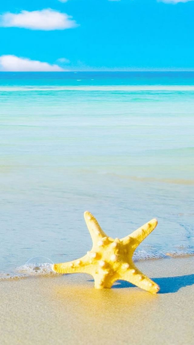 640x1136 Starfish Beach - starfish iPhone Wallpaper