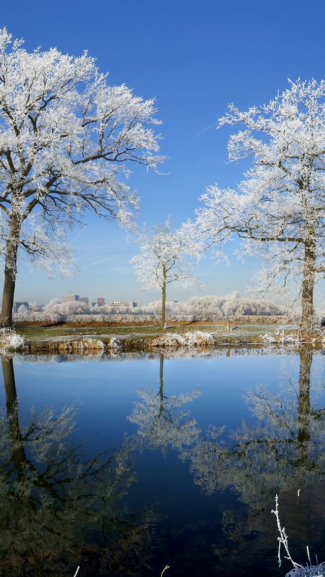 640x1136 Frosty Tree Lake Reflection - reflection iPhone Wallpaper