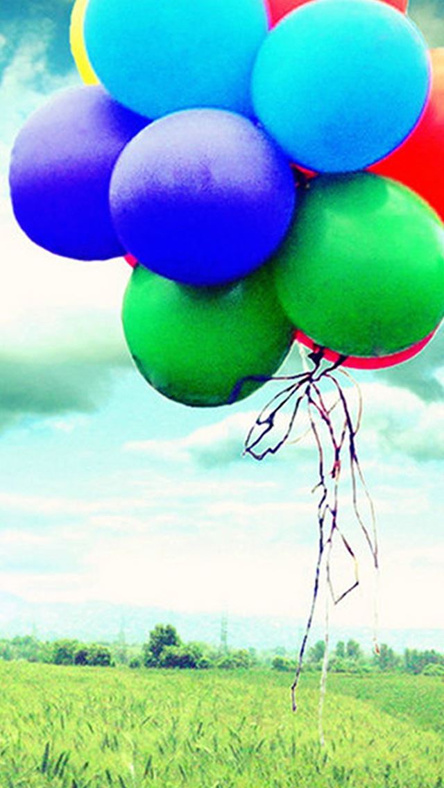 640x1136 Flying Colorful Balloons Bunch - wheat field iPhone Wallpaper