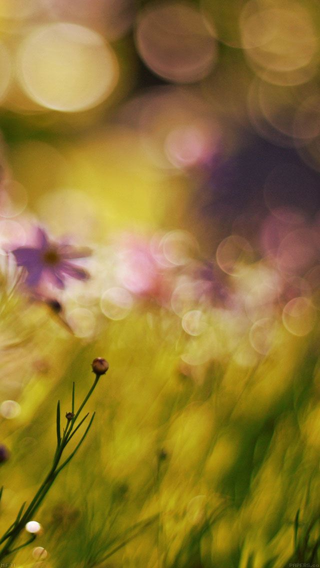 640x1136 Flower Bokeh Spring Days Sweet - bokeh iPhone Wallpaper