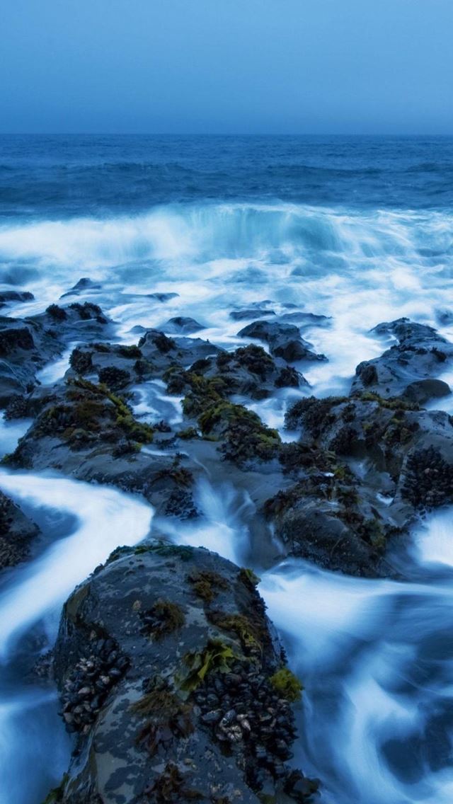 640x1136 Sea Rock Covered In The Mist - sea iPhone Wallpaper