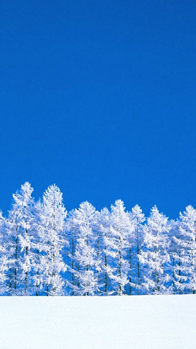 640x1136 Nature Pure Snowy Forest - trees iPhone Wallpaper