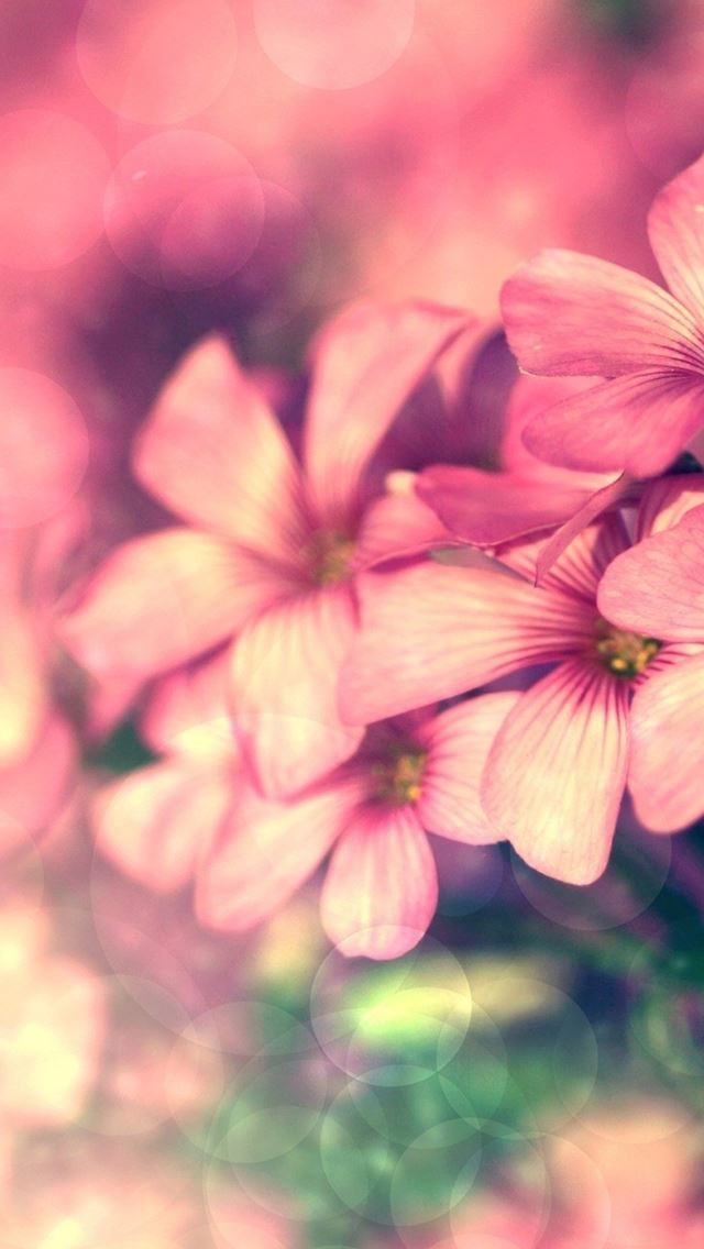 640x1136 Dreamy Fantasy Pink Flower Circle Bokeh - bokeh iPhone Wallpaper
