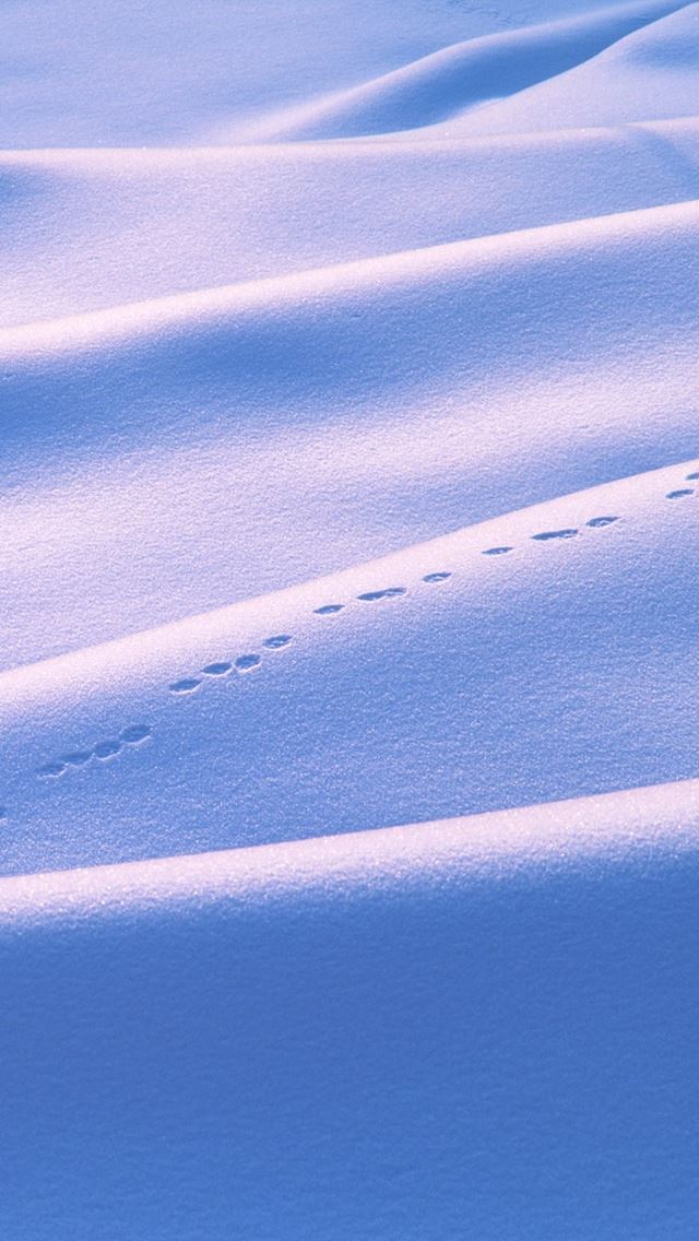 640x1136 Nature Winter Footprint On Snow Field - clear iPhone Wallpaper