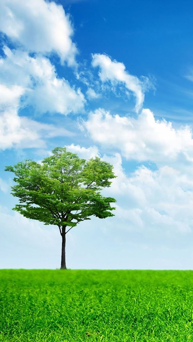 640x1136 Nature Lonely Tree Filed - tree iPhone Wallpaper