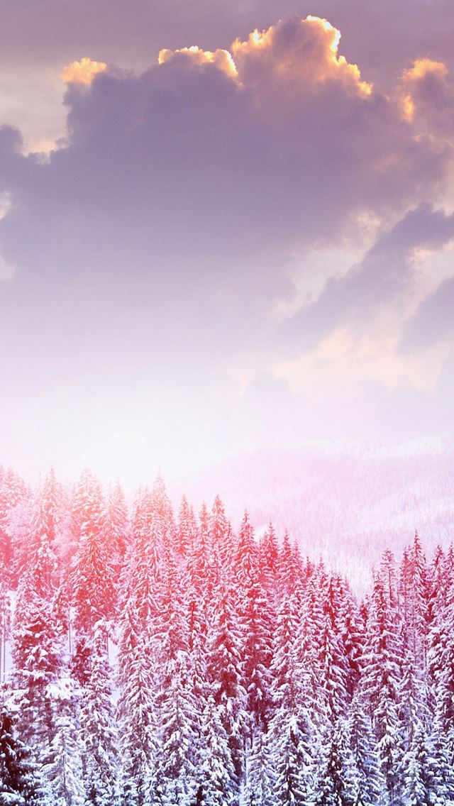 640x1136 Landscape Winter Snow Trees Mountains Forest Sky Clouds - clouds iPhone Wallpaper