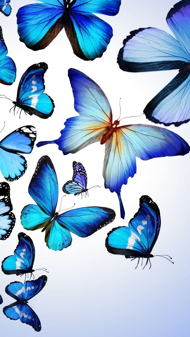 640x1136 Blue Butterfly Drawing Art Beautiful - beautiful iPhone Wallpaper