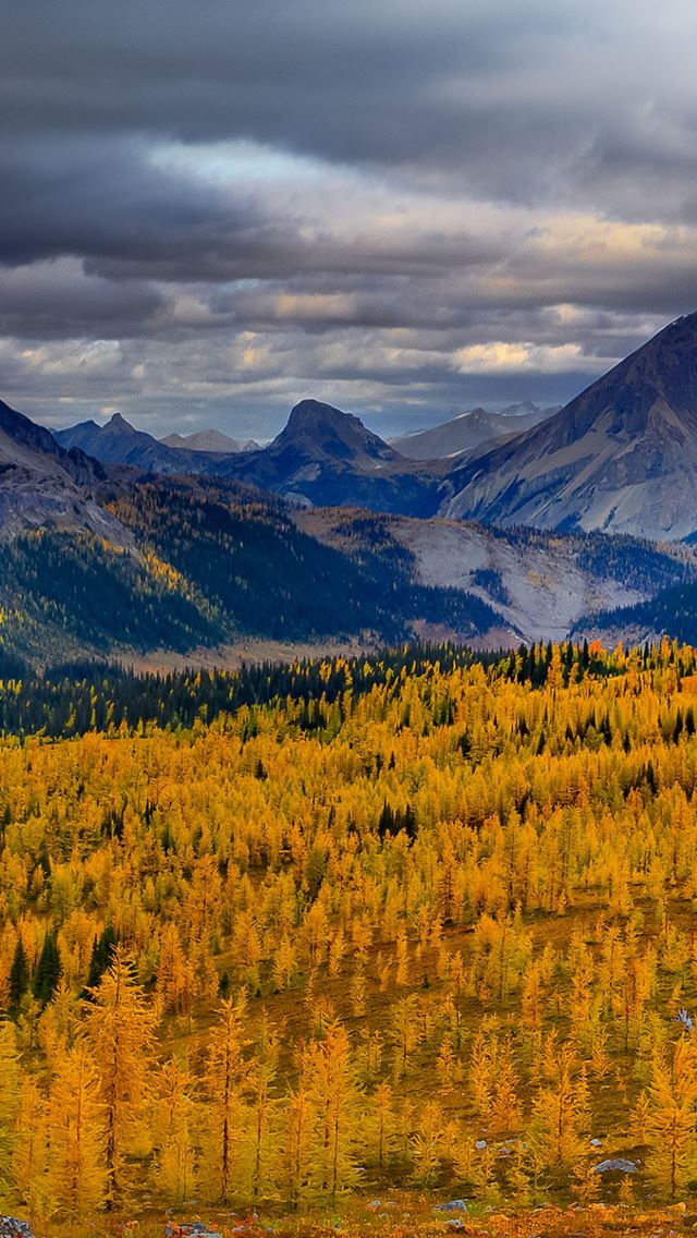 640x1136 Mountain Landscape Trees Sky Grass - trees iPhone Wallpaper