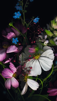 Abstract Official Flower Bunch Art wallpaper