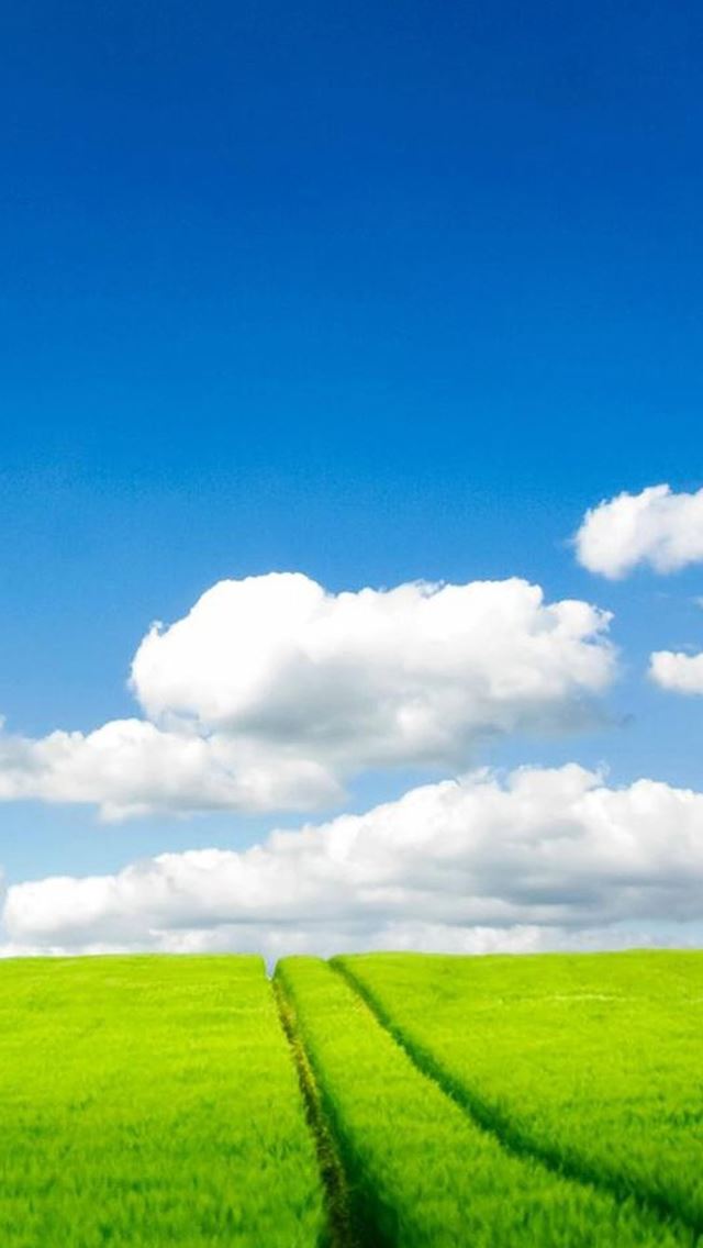 640x1136 Nature Grass Field White Clouds - skyscape iPhone Wallpaper