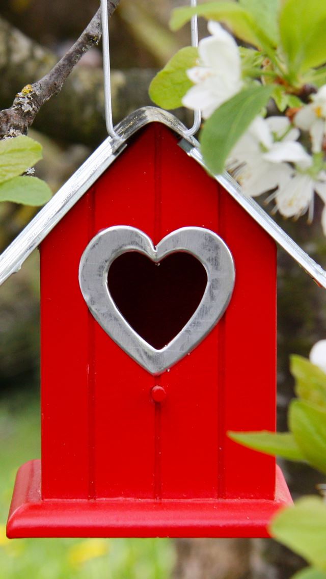 640x1136 Tree Flowers Branch Birdhouse -  iPhone Wallpaper