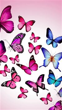 Butterfly  Butterfly wallpaper Aesthetic iphone wallpaper Cellphone wallpaper  backgrounds