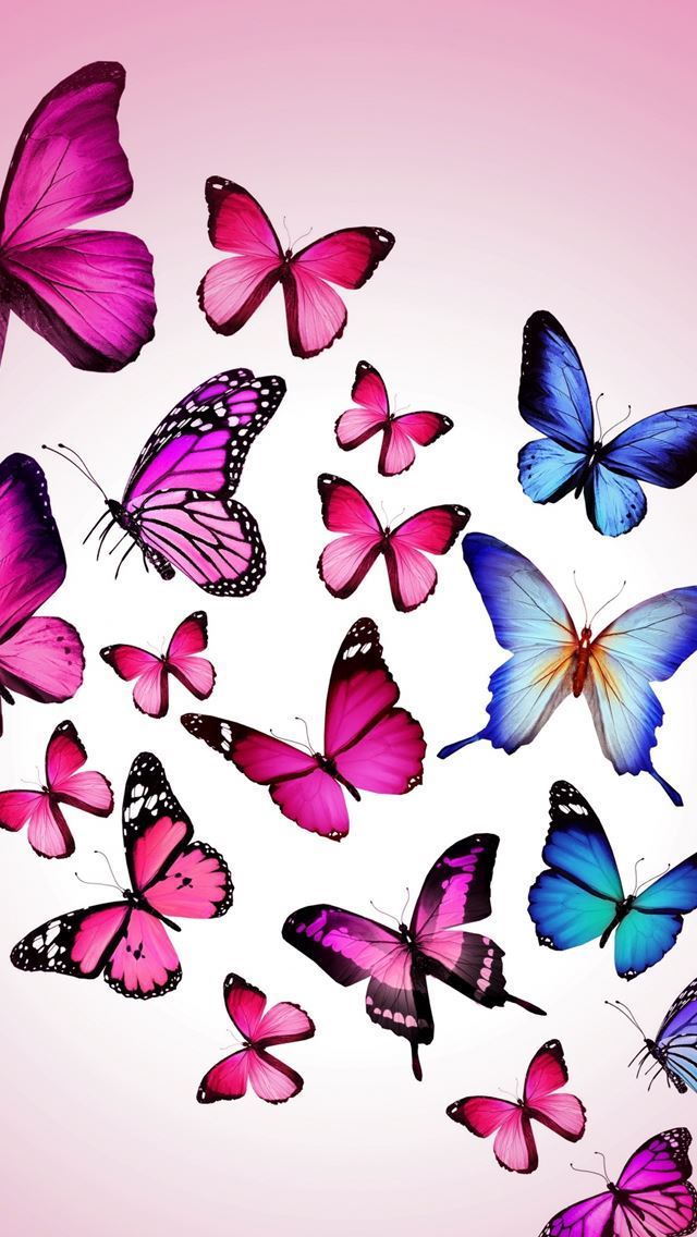 1284x2778 Butterfly Drawing Flying Colorful Background Pink - blue iPhone Wallpaper