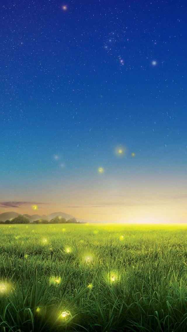640x1136 Glow worm Nature Country Field - country iPhone Wallpaper