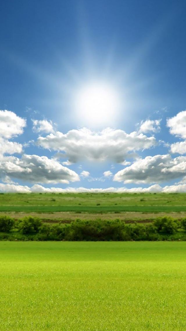 640x1136 Nature Bright Sunshine Field Cloudy Skyscape - trees iPhone Wallpaper