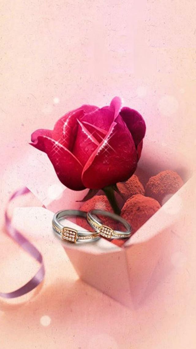 640x1136 Abstract Rose Gift Box - beautiful iPhone Wallpaper