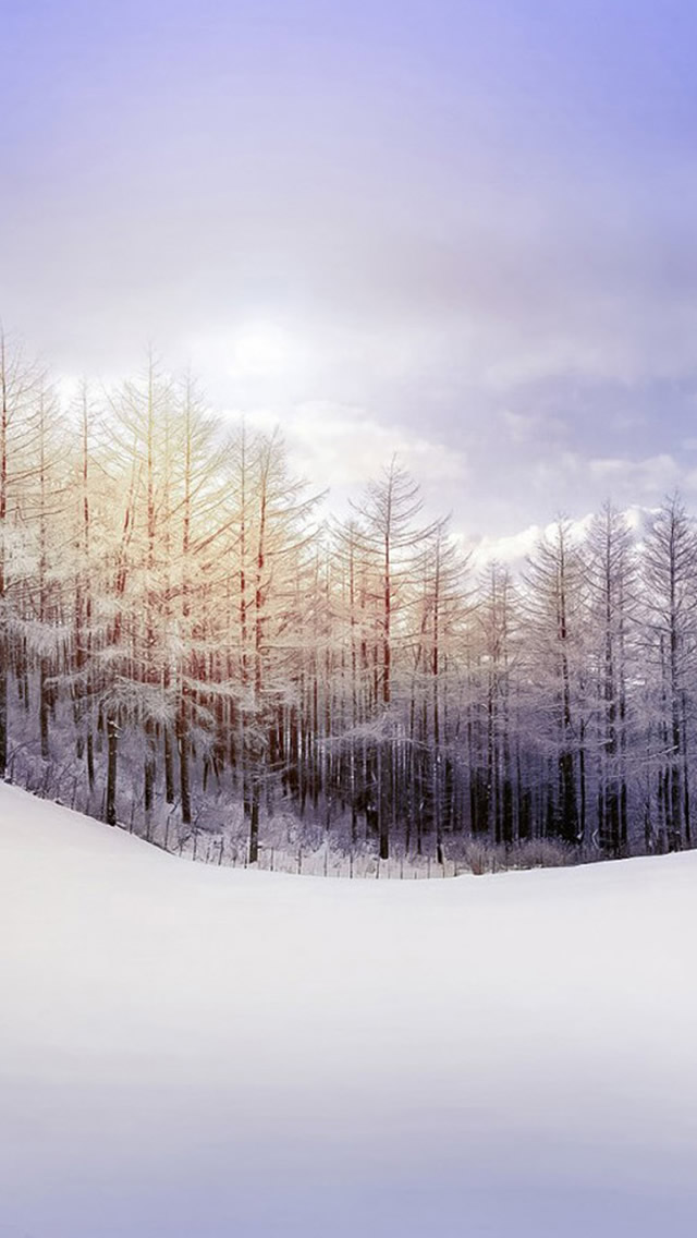 Winter Snowy Pure Landscape Iphone Wallpapers Free Download