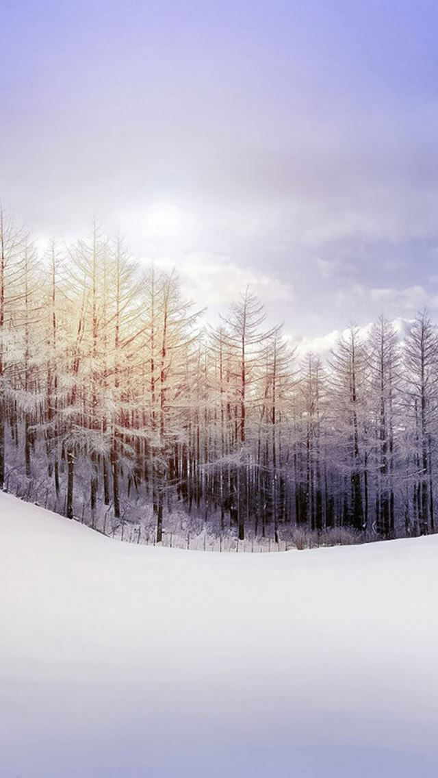 640x1136 Winter Snowy Pure Landscape - snow iPhone Wallpaper