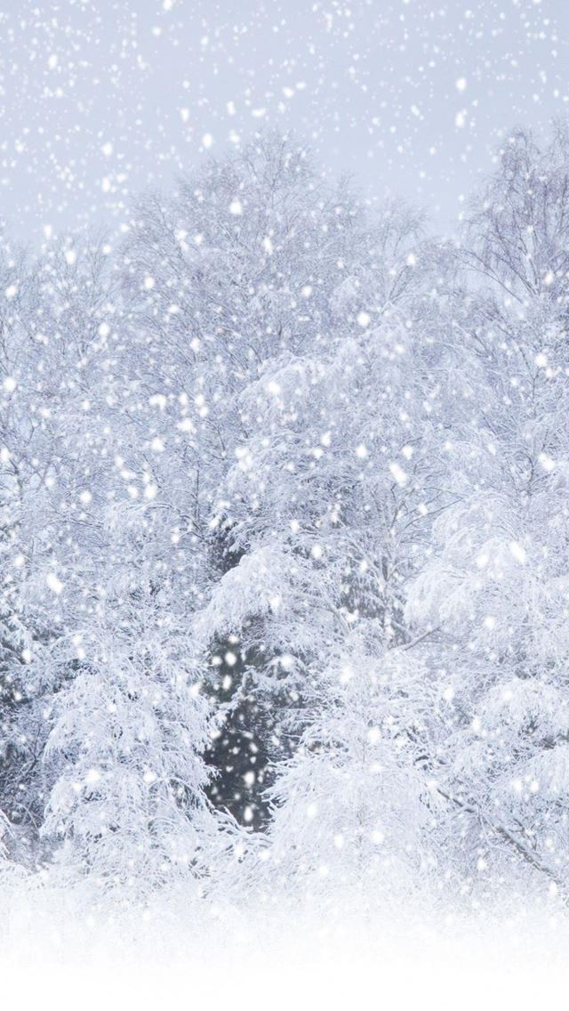 640x1136 Heavy Snow Forest - snow iPhone Wallpaper