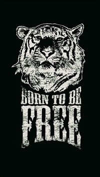 Born To Be Free Tiger Illustration wallpaper