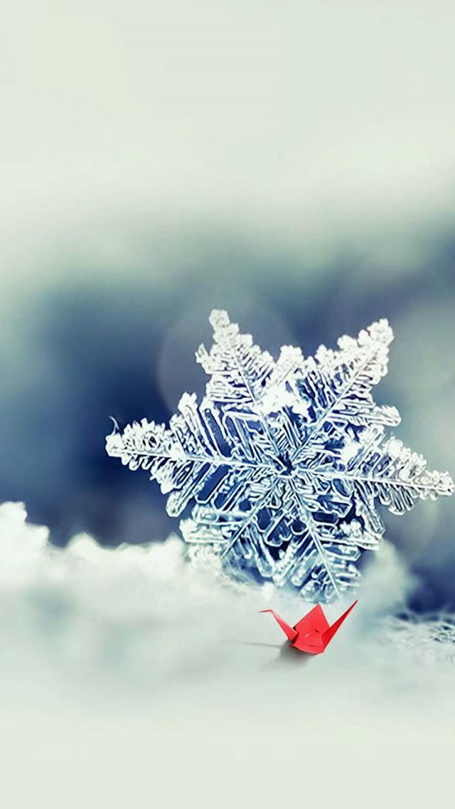 640x1136 Snowflake Macro Photo Closeup - snowflake iPhone Wallpaper