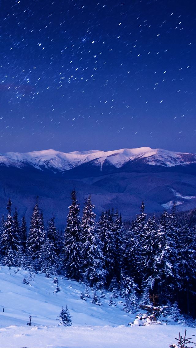 640x1136 Star Forest Night Home Mountains Trees - trees iPhone Wallpaper