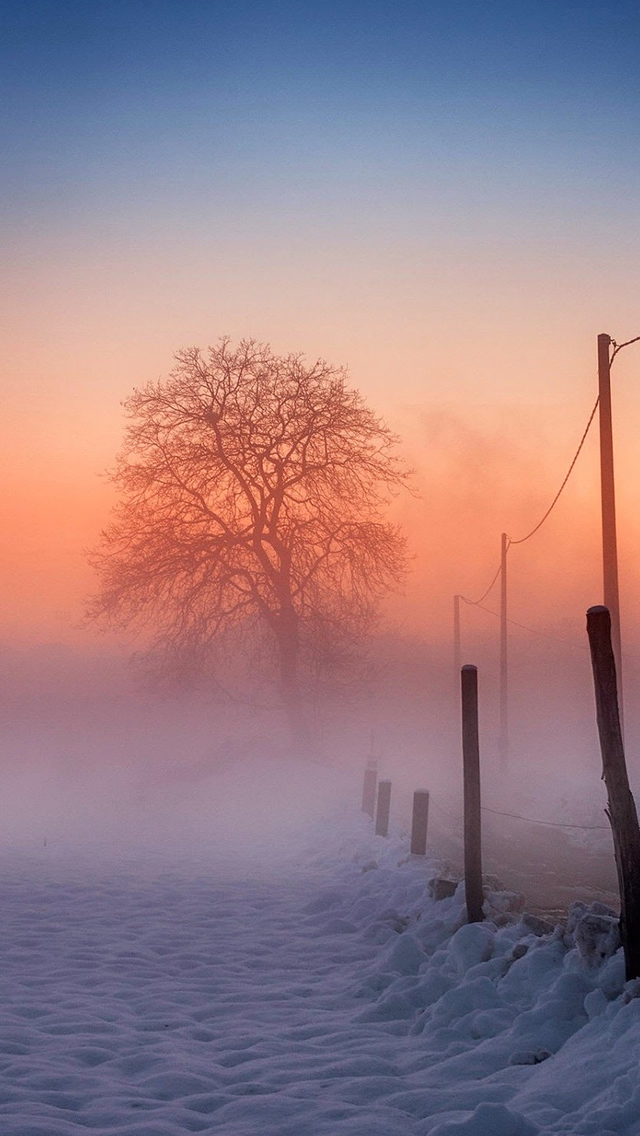 Winter Scene Fog Glow iPhone wallpaper 