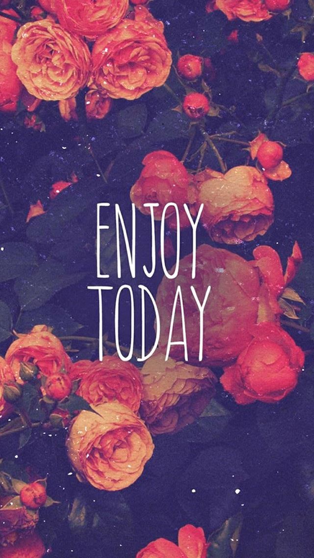 640x1136 Enjoy Today Red Rose - branch iPhone Wallpaper